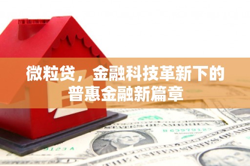九江微粒贷，金融科技革新下的普惠金融新篇章