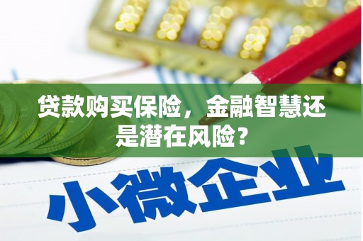 九江贷款购买保险，金融智慧还是潜在风险？