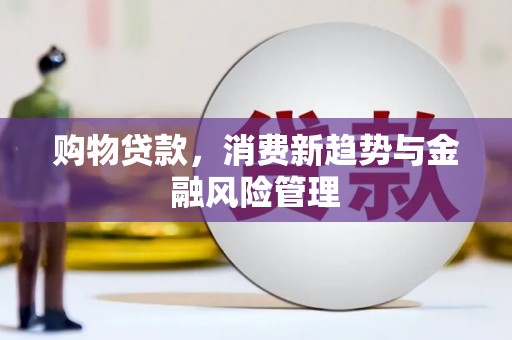 九江购物贷款，消费新趋势与金融风险管理