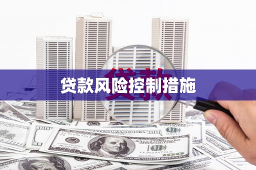 九江贷款风险控制措施