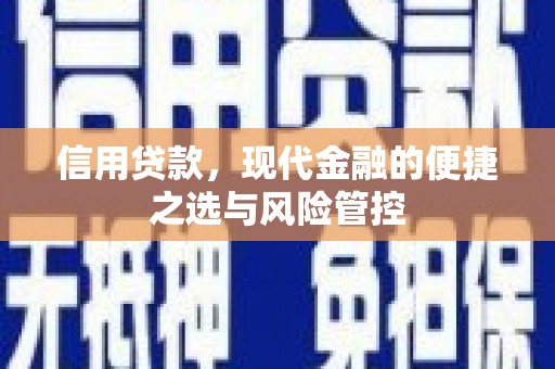 九江信用贷款，现代金融的便捷之选与风险管控