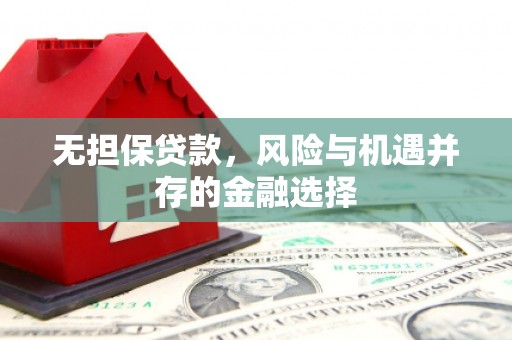 九江无担保贷款，风险与机遇并存的金融选择