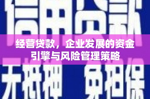 九江经营贷款，企业发展的资金引擎与风险管理策略