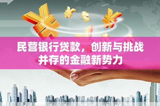 九江民营银行贷款，创新与挑战并存的金融新势力