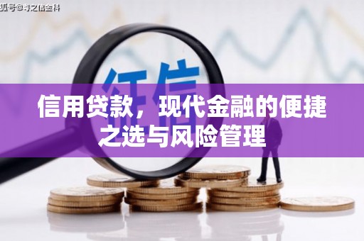 九江信用贷款，现代金融的便捷之选与风险管理