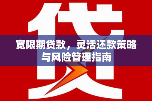 九江宽限期贷款，灵活还款策略与风险管理指南