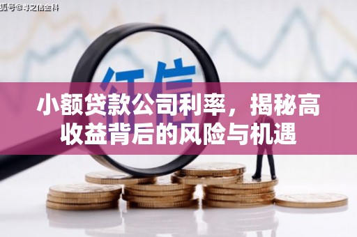 九江小额贷款公司利率，揭秘高收益背后的风险与机遇