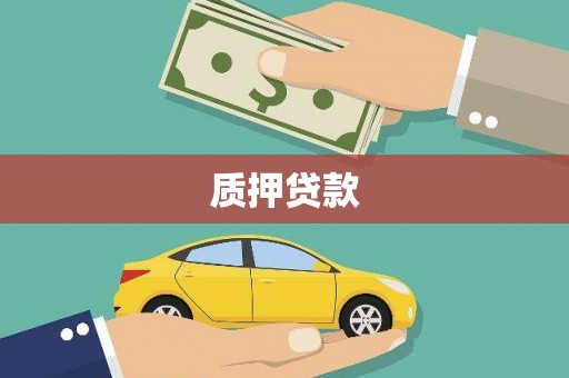 九江质押贷款