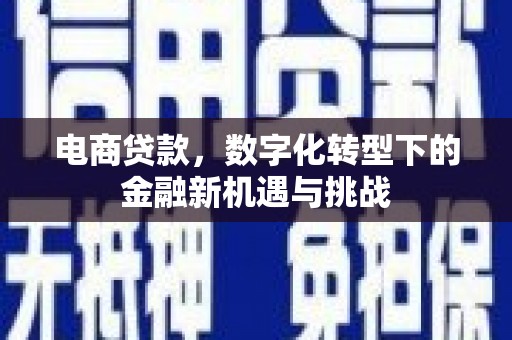 九江电商贷款，数字化转型下的金融新机遇与挑战