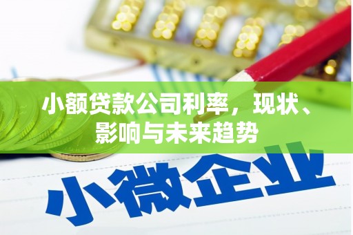 九江小额贷款公司利率，现状、影响与未来趋势