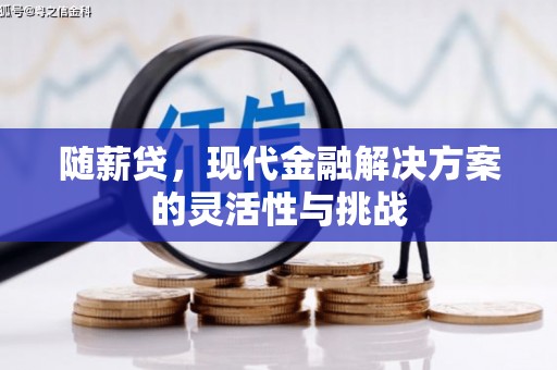 九江随薪贷，现代金融解决方案的灵活性与挑战