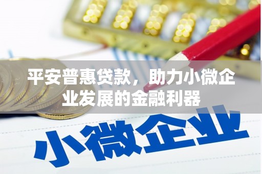 九江平安普惠贷款，助力小微企业发展的金融利器