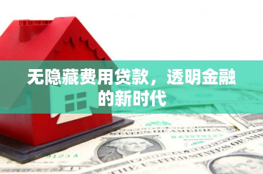 九江无隐藏费用贷款，透明金融的新时代