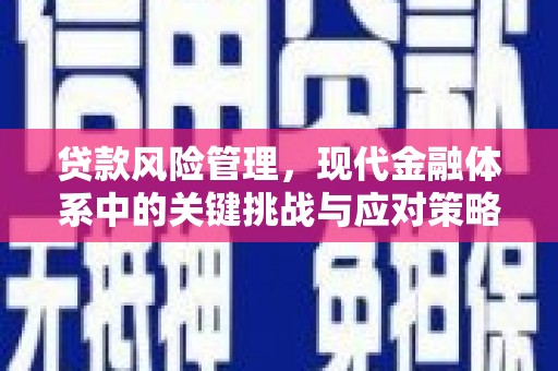 九江贷款风险管理，现代金融体系中的关键挑战与应对策略