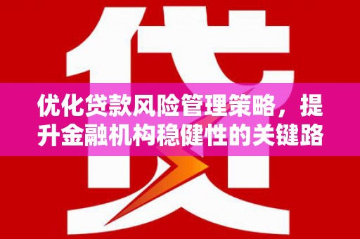 九江优化贷款风险管理策略，提升金融机构稳健性的关键路径