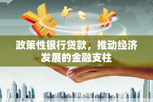 九江政策性银行贷款，推动经济发展的金融支柱