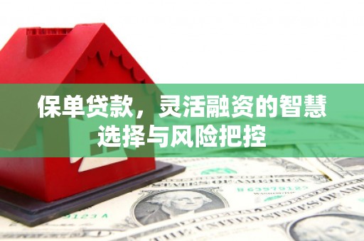 九江保单贷款，灵活融资的智慧选择与风险把控