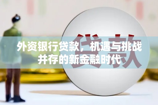 九江外资银行贷款，机遇与挑战并存的新金融时代