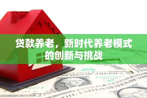 九江贷款养老，新时代养老模式的创新与挑战
