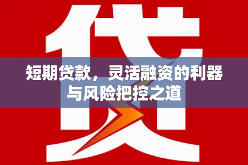九江短期贷款，灵活融资的利器与风险把控之道