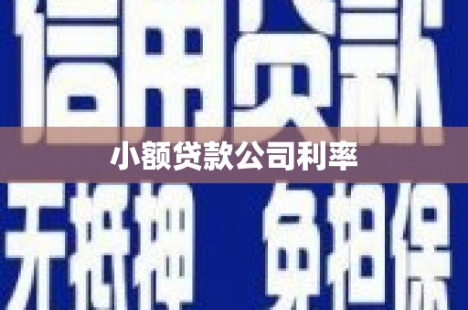 九江小额贷款公司利率