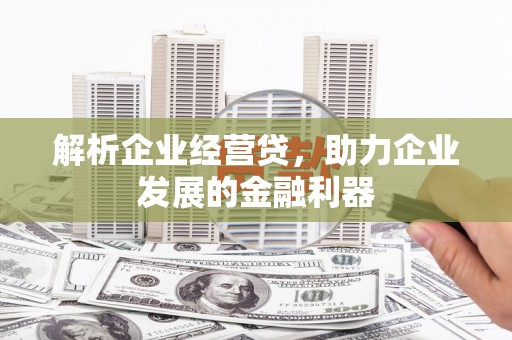 九江解析企业经营贷，助力企业发展的金融利器