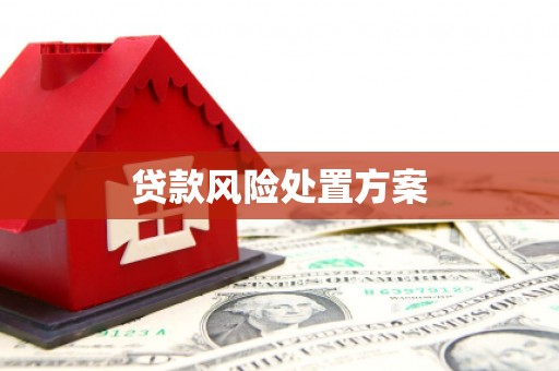 九江贷款风险处置方案