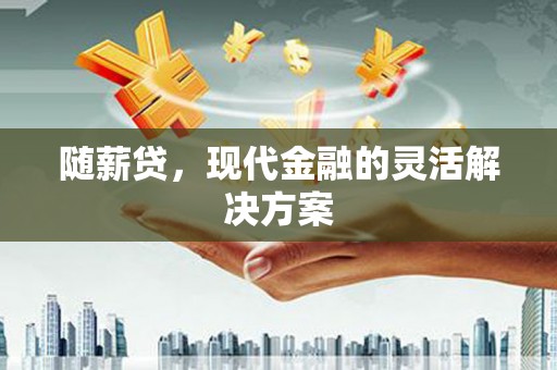 九江随薪贷，现代金融的灵活解决方案