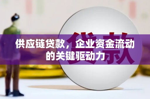 九江供应链贷款，企业资金流动的关键驱动力