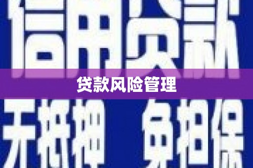 九江贷款风险管理