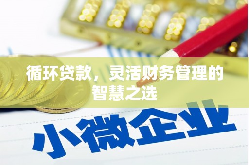 九江循环贷款，灵活财务管理的智慧之选
