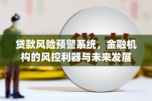 九江贷款风险预警系统，金融机构的风控利器与未来发展