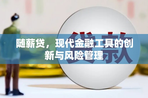 九江随薪贷，现代金融工具的创新与风险管理