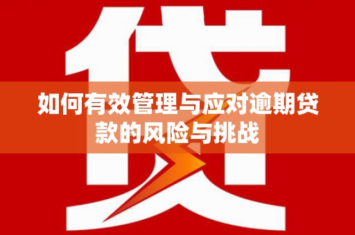 九江如何有效管理与应对逾期贷款的风险与挑战