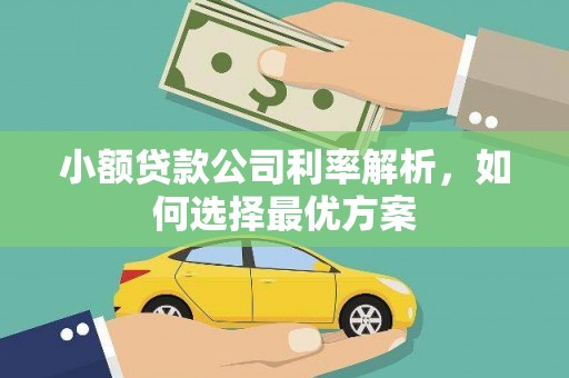 九江小额贷款公司利率解析，如何选择最优方案