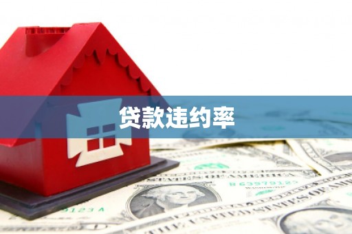 九江贷款违约率