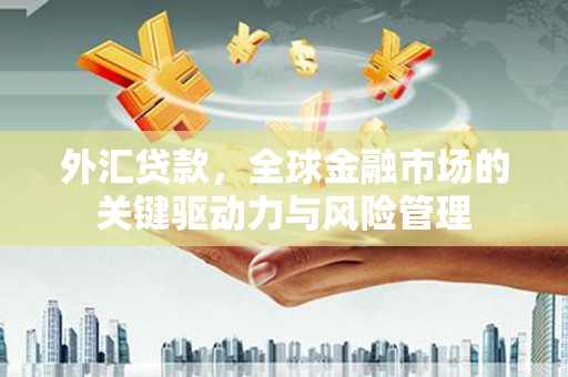 九江外汇贷款，全球金融市场的关键驱动力与风险管理