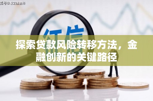 九江探索贷款风险转移方法，金融创新的关键路径