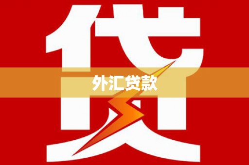 九江外汇贷款