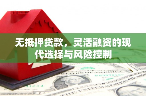 九江无抵押贷款，灵活融资的现代选择与风险控制