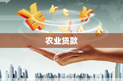 九江农业贷款