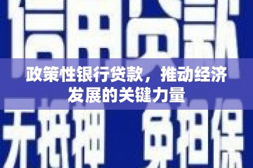 九江政策性银行贷款，推动经济发展的关键力量