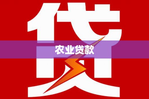 九江农业贷款