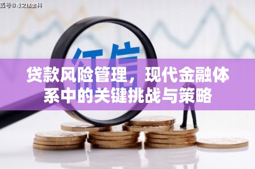 九江贷款风险管理，现代金融体系中的关键挑战与策略