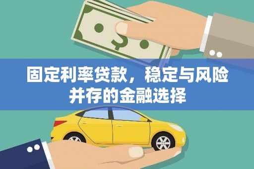 九江固定利率贷款，稳定与风险并存的金融选择