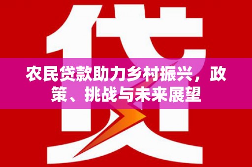 九江农民贷款助力乡村振兴，政策、挑战与未来展望