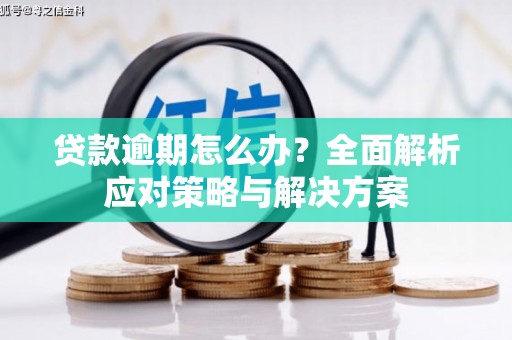 九江贷款逾期怎么办？全面解析应对策略与解决方案