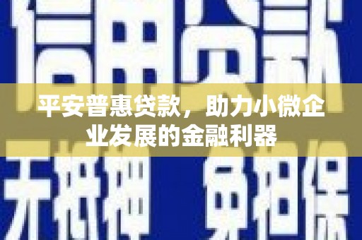 九江平安普惠贷款，助力小微企业发展的金融利器