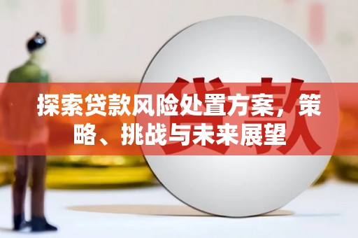 九江探索贷款风险处置方案，策略、挑战与未来展望