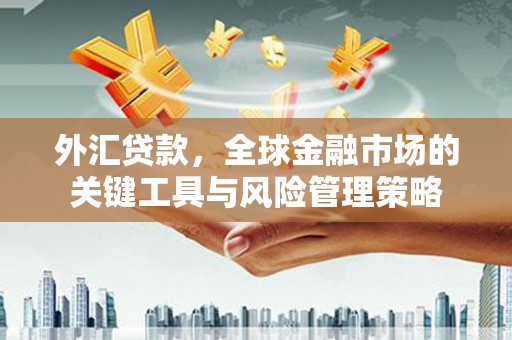 九江外汇贷款，全球金融市场的关键工具与风险管理策略